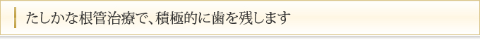 たしかな根管治療で、積極的に歯を残します