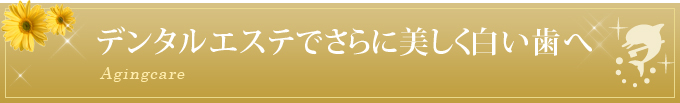 デンタルエステでさらに美しく白い歯へ